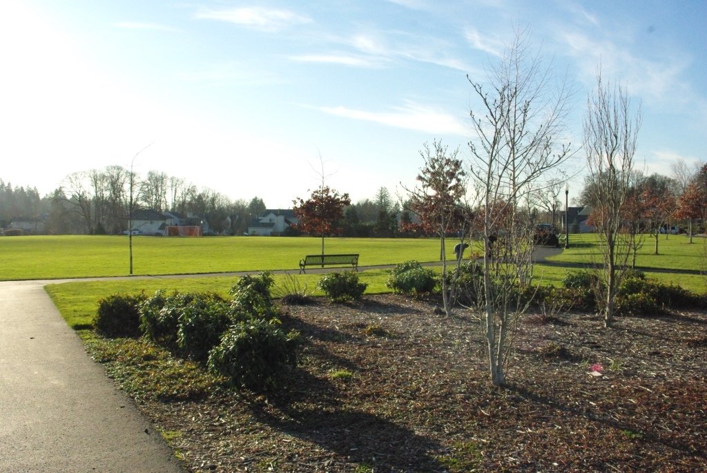 Reedville Creek Park: space, a playground, and somewhere to park