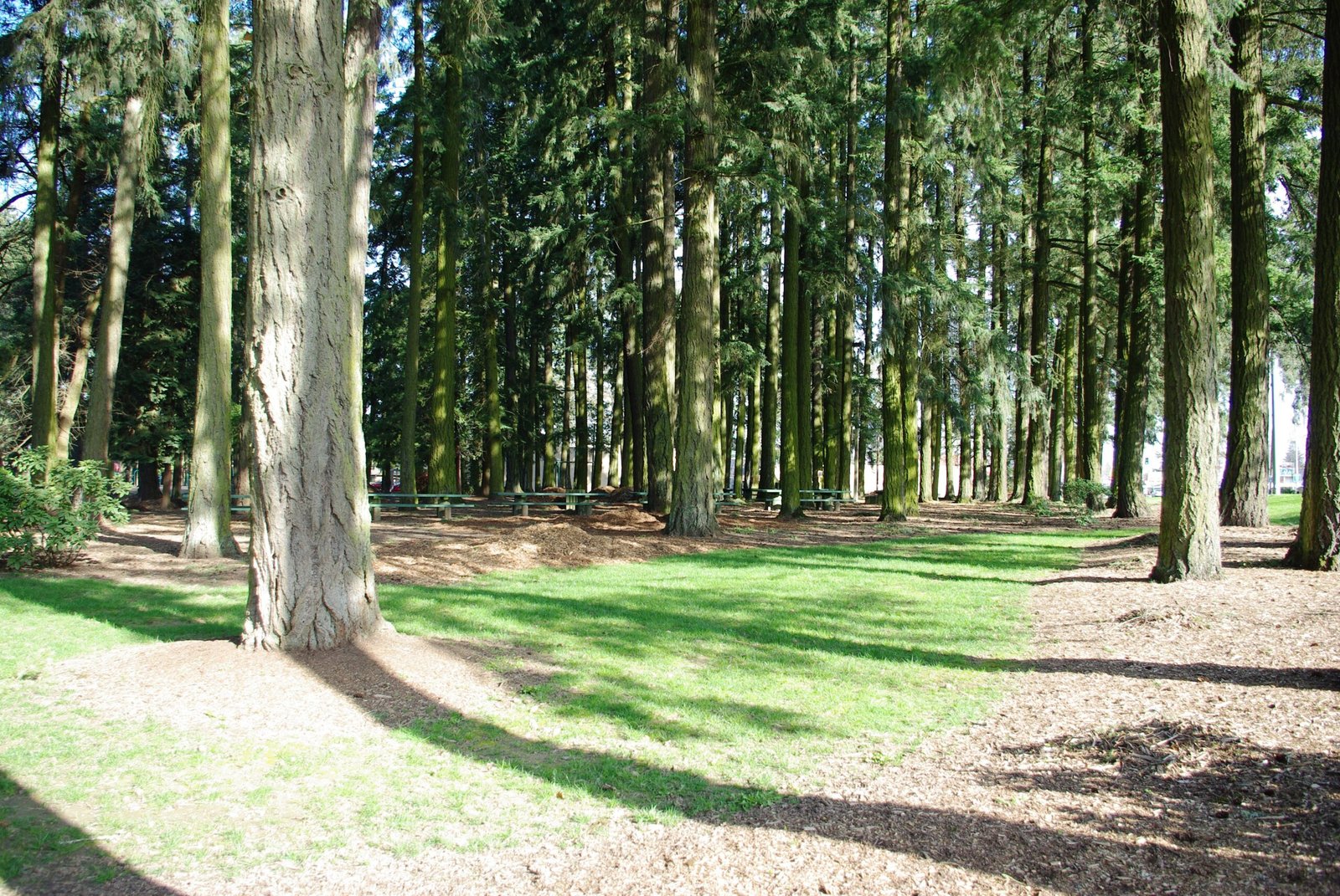 Shute Park: the oldest park in Hillsboro, and still the most useful